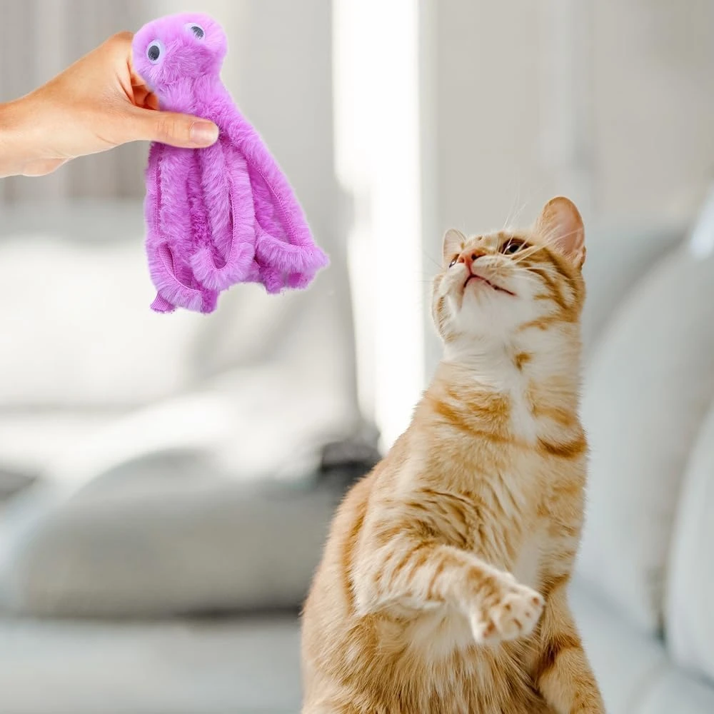 Catnip Plush Cats Toy – Pet Yar