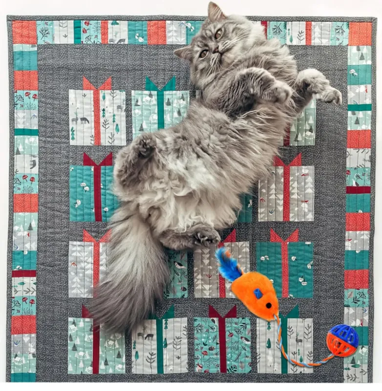 Cat Toy Chasing Mouse Interactive