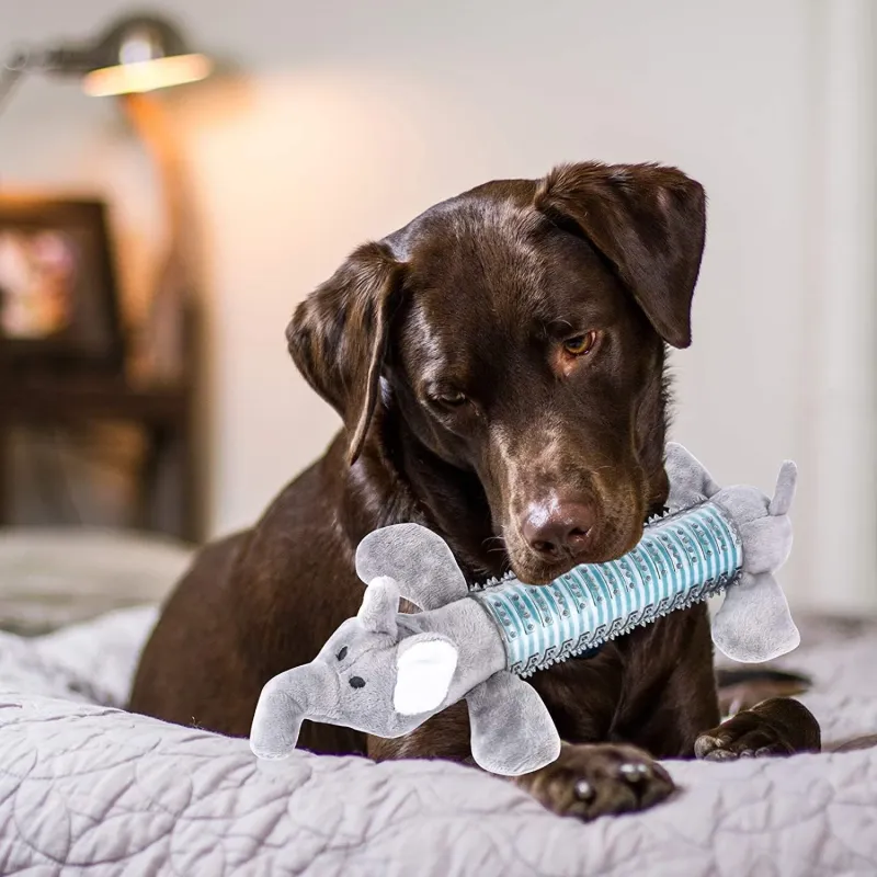 Dog Toys Dental and Soft Rubber Animal shaped Toy