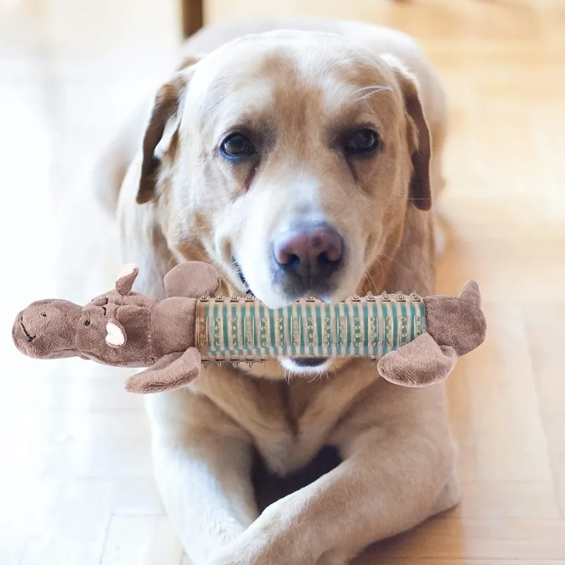 Dog Toys Dental and Soft Rubber Animal shaped Toy