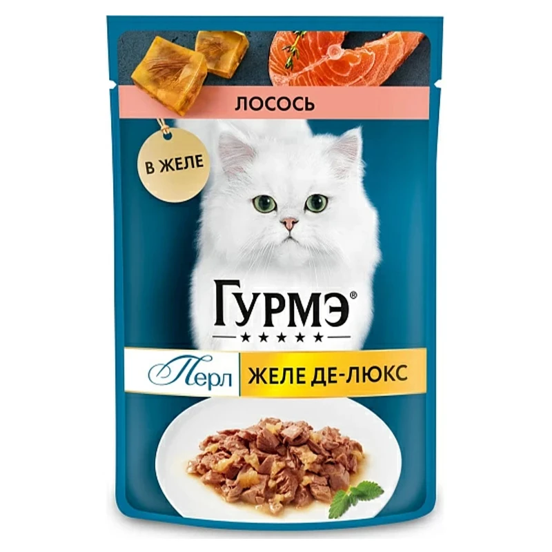 Gourmet Pouch Adult Wet Cat Food With Salmon in Jelly