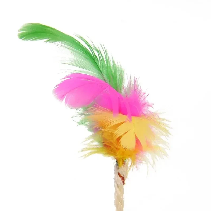 Cat Ball Toy with feather