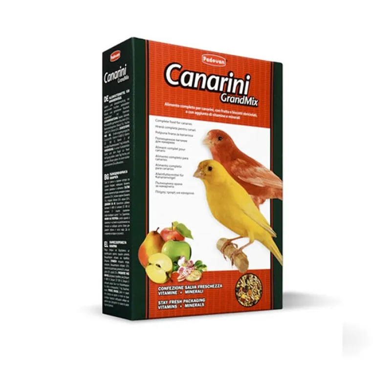 Grandmix Canarini