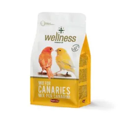 Wellness Canaries