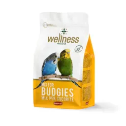 Wellness Budgies