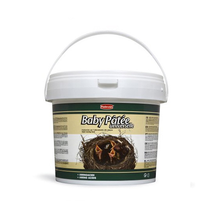 Baby Patee Universal