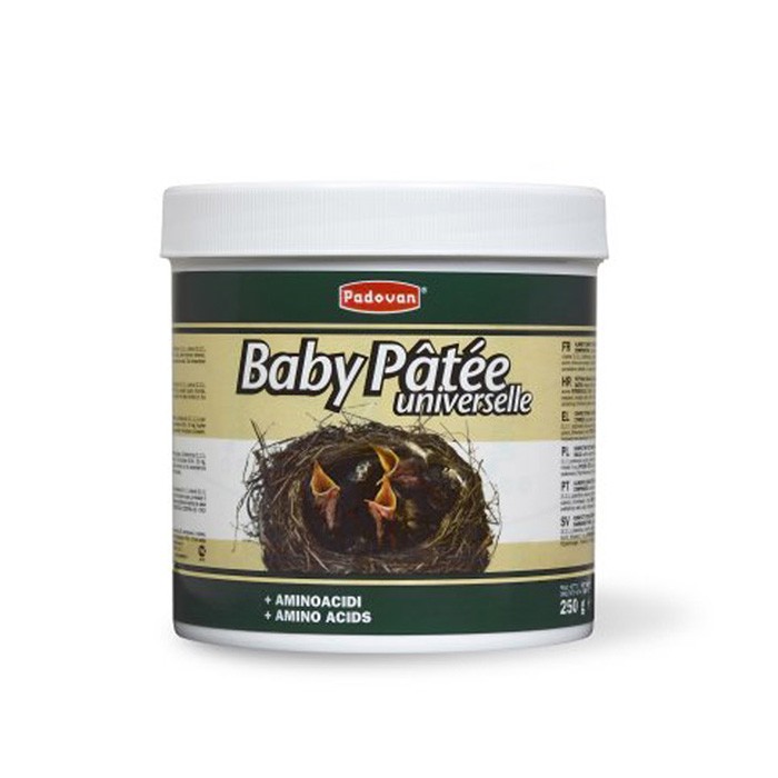 Baby Patee Universal