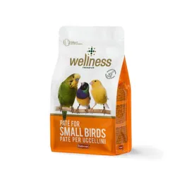 Wellness Pate Small Birds