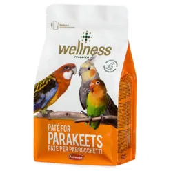 Padovan Wellness Pate for Parakeets Complementary Feed for Parakeets