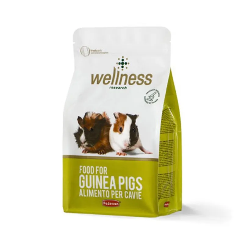 Wellness Guinea Pigs