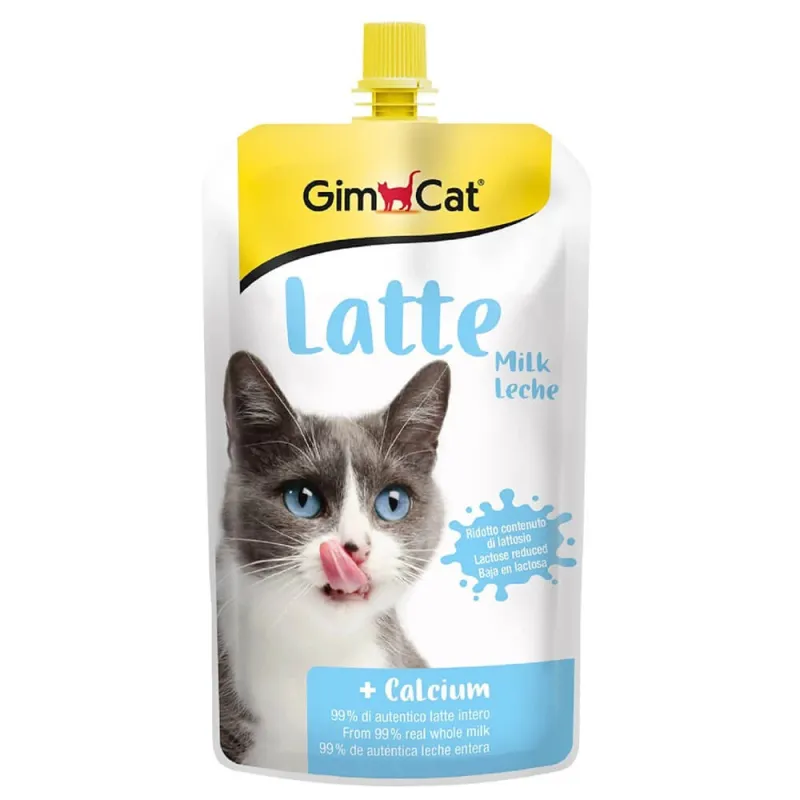 Gim Cat Latte For Cat