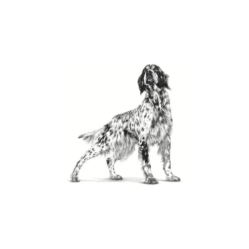 ROYAL CANIN Urinary S/O Dog Pouches
