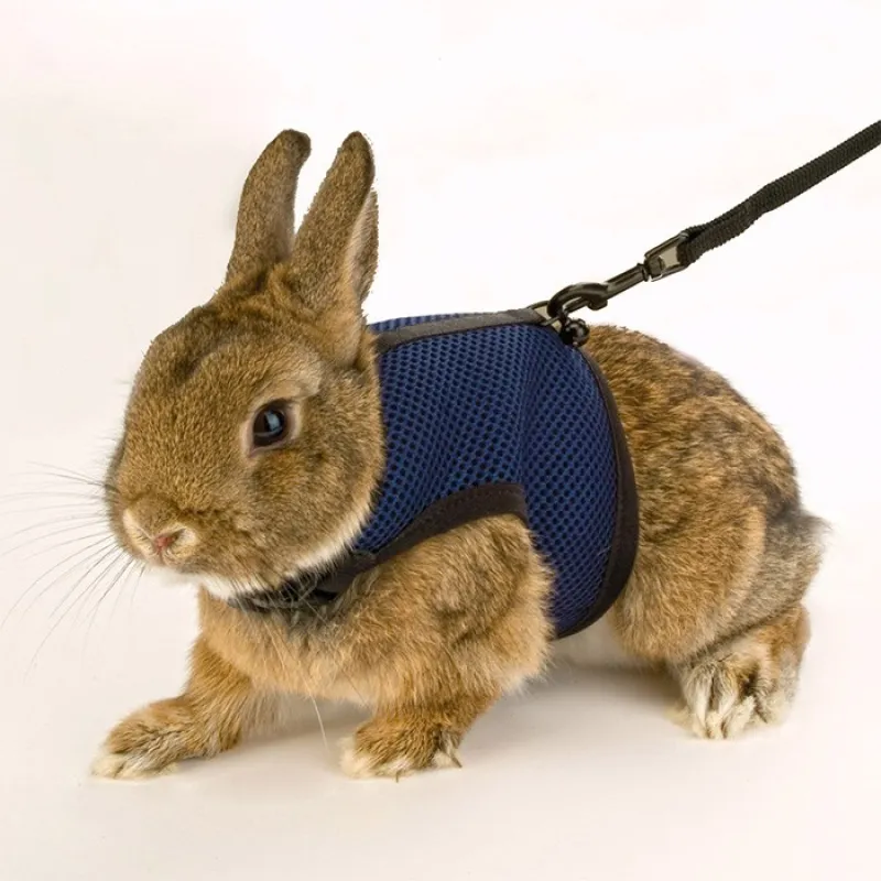 Jogging Harness