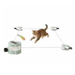 Pet Chasing and Play Toy