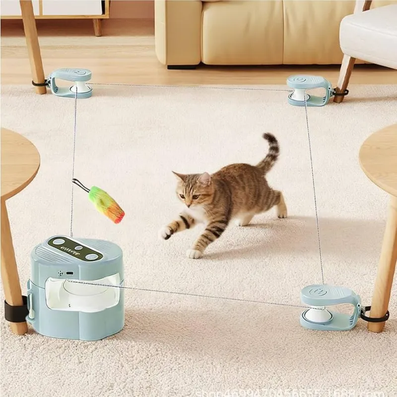 Pet Chasing and Play Toy