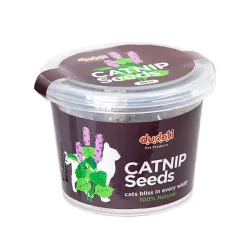 Dudoti Catnip Seeds