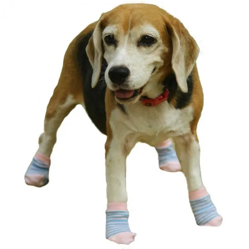 Doggy dolly Pink strip sock