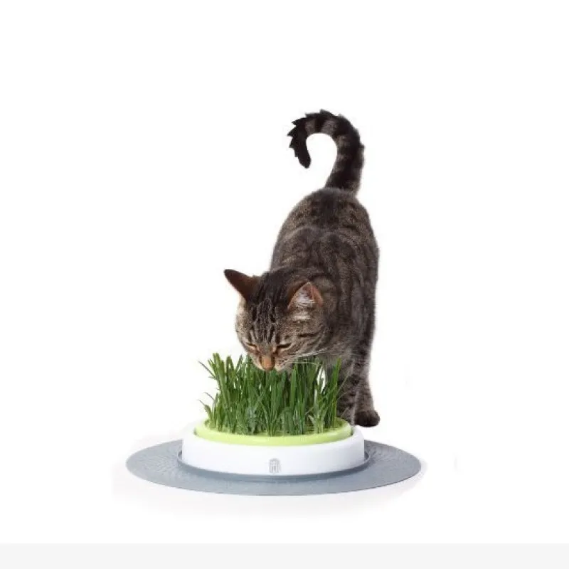 Catit Design Senses Grass Garden Kit