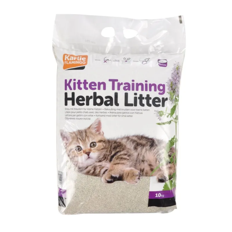 Cat Litter Kitten