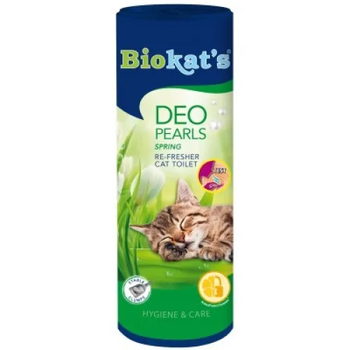 Gimborn Deo Pearls White Flowers