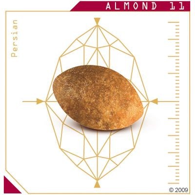  Royal Canin Persian Adult Dry Cat Food