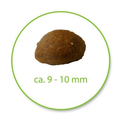  Royal Canin Persian Adult Dry Cat Food