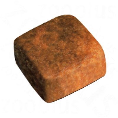 Royal Canin Persian Kitten Dry Food 