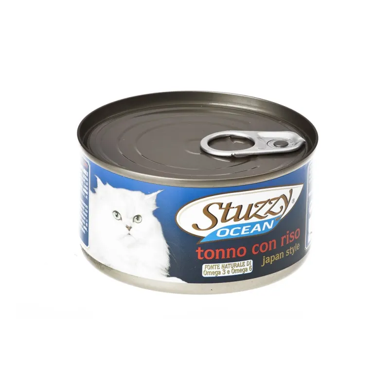 Stuzzy Ocean Tuna With Rice