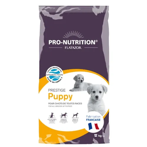 Flatazor Prestige Puppy