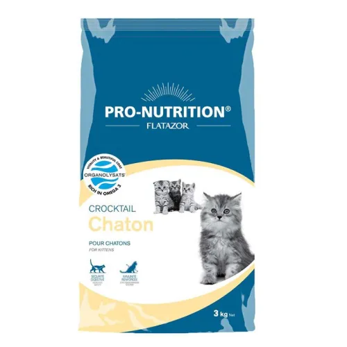 Flatazor Crocktail Kitten