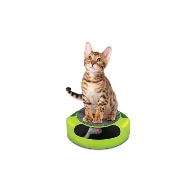 Cat Scratcher Toy