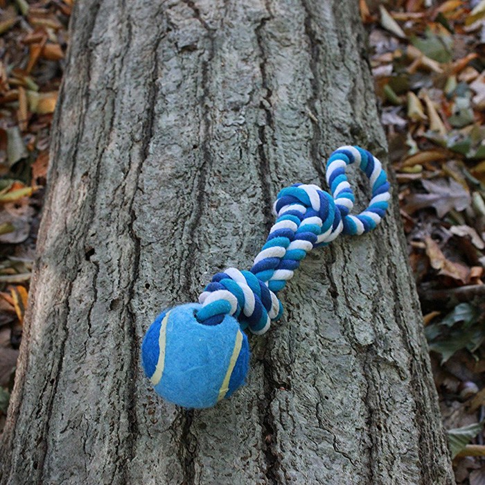 Dog Toy, Blue & White 2 Knot, Cotton Rope with Ball