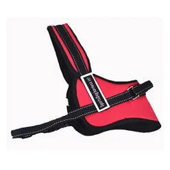 Sport Dog harness Set Red