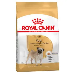 Royal Canin Pug Adult Dry Dog Food