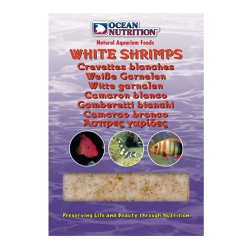Ocean Nutrition Frozen White Shrimps