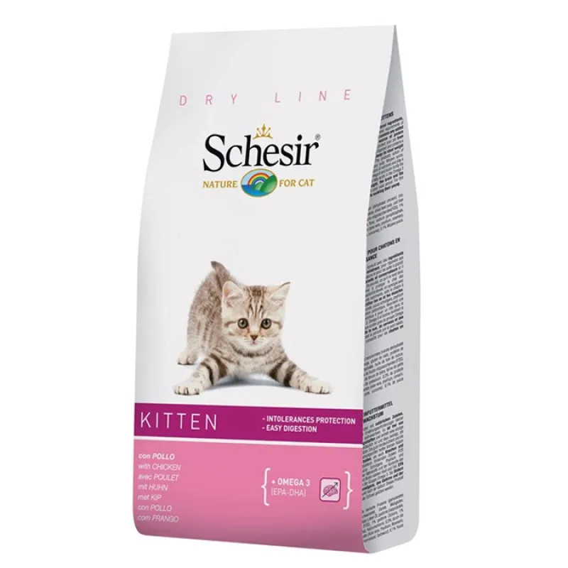  schesir for cats kiten