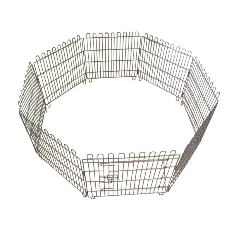 Dog puppy run Steel