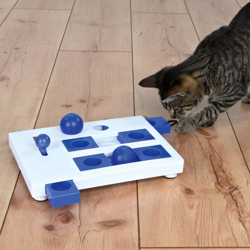 Brain Mover Strategy Game