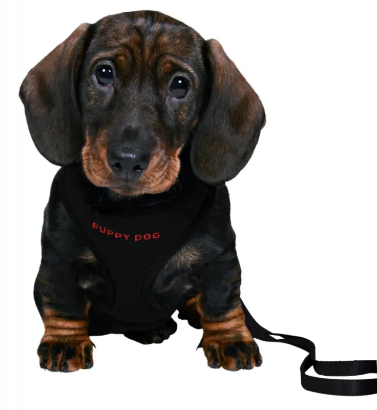 Puppy Soft Harness with Leash