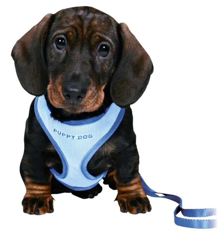 Puppy Soft Harness with Leash