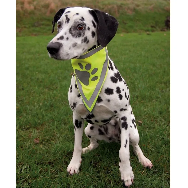 Trixie Neckerchief