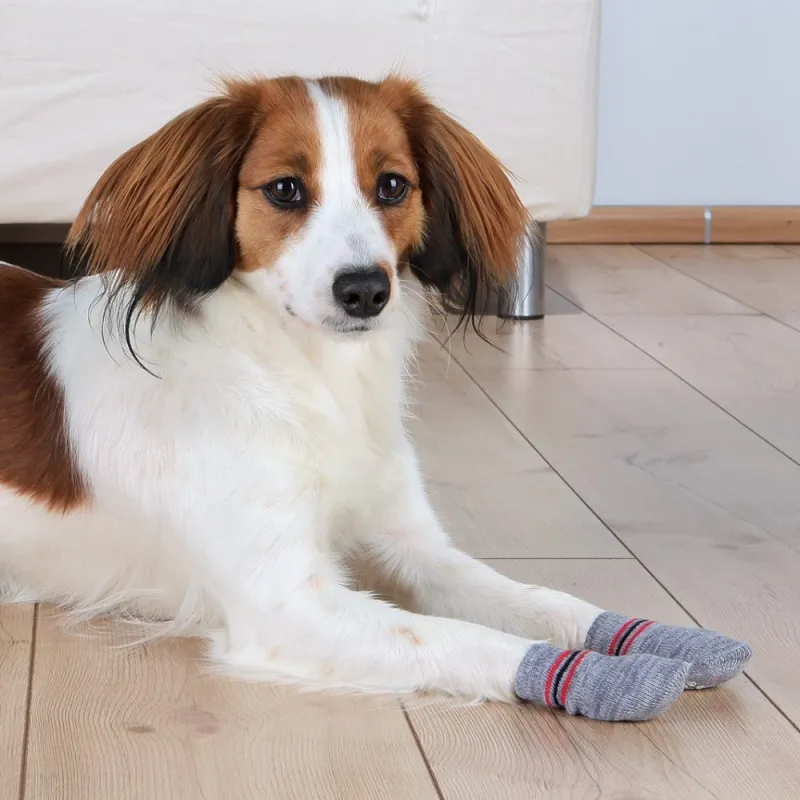 Trixie Dog Socks