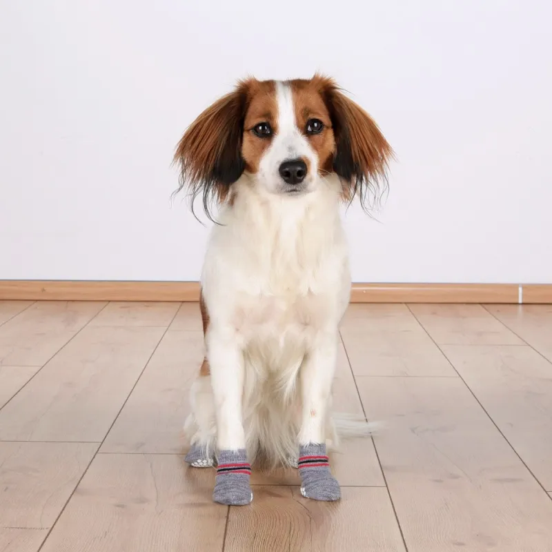 Trixie Dog Socks