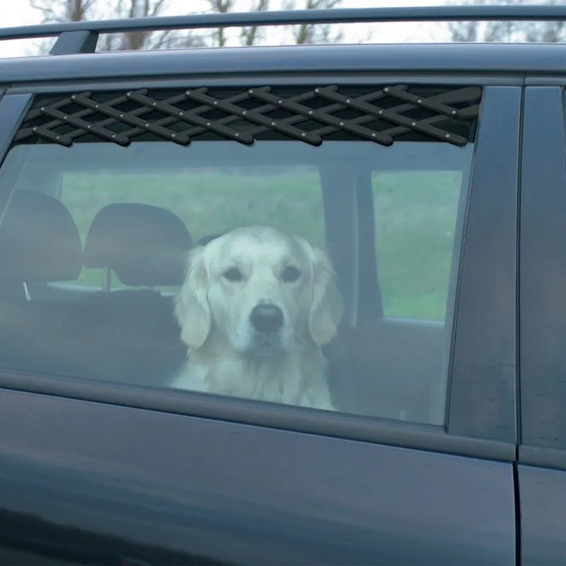 Ventilation Lattice for Cars