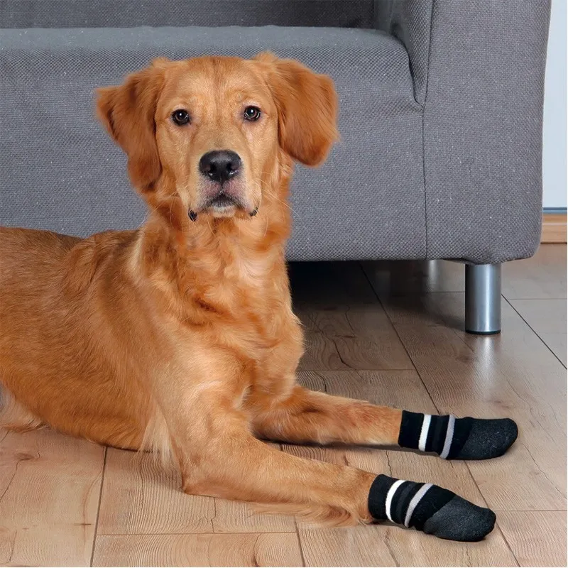 trixie Dog Socks black