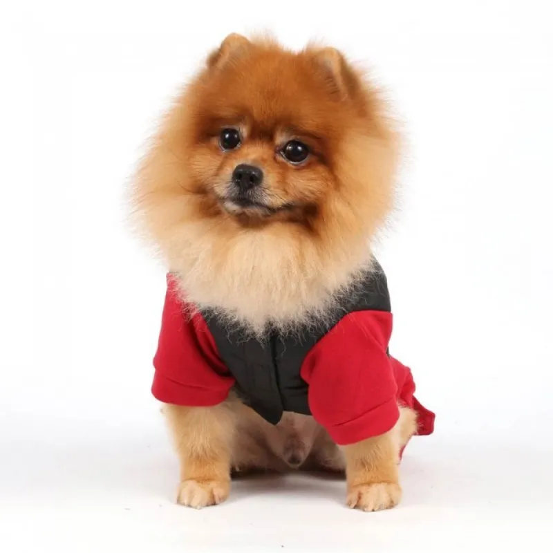 DoggyDolly dog coat red black with 4 legs