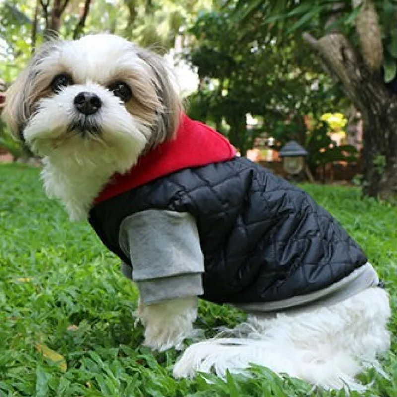 Pink & Black Doggy Dolly Quilted Coat with Short Sleeves and Hood - Pink