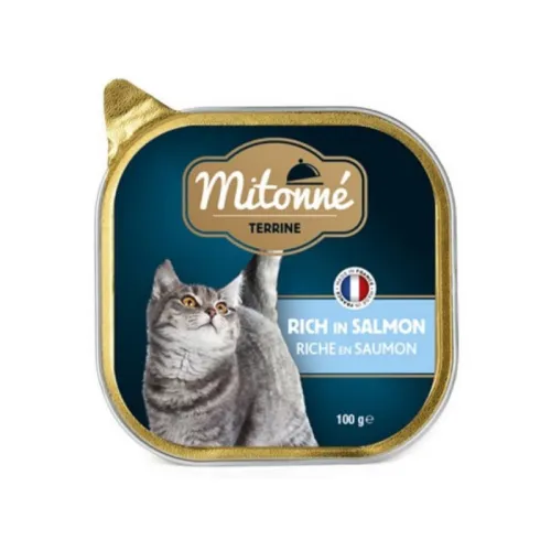 mitonné Terrine Rich In Salmon