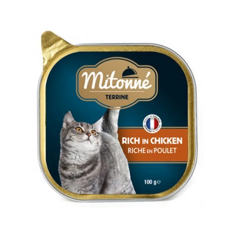 mitonné Terrine Rich In Chicken