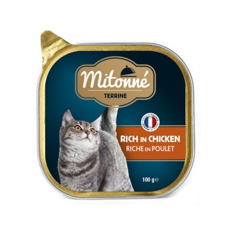 mitonné Terrine Rich In Chicken
